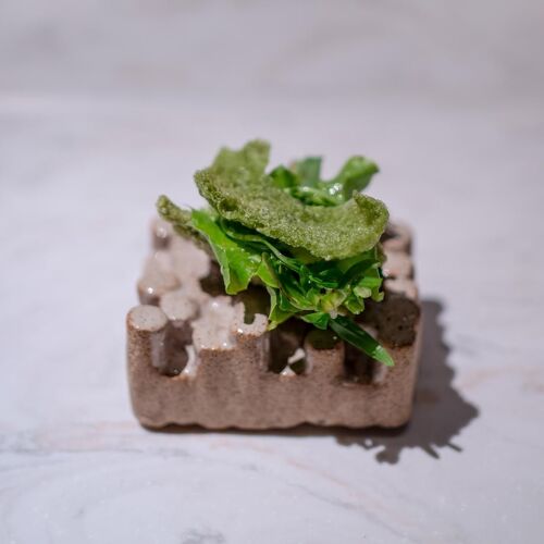 Lasai by michelin.com Lasai by michelin.com