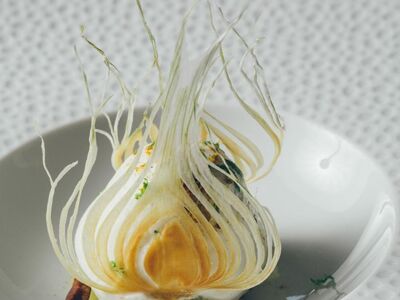 Villa de l'Étang Blanc