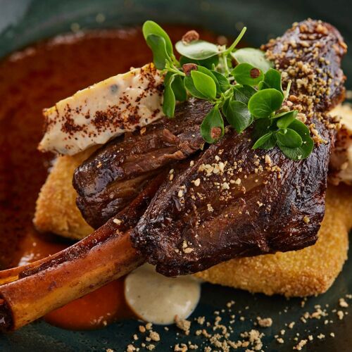 El Gato Negro by michelin.com