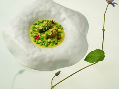 Gu Yuan