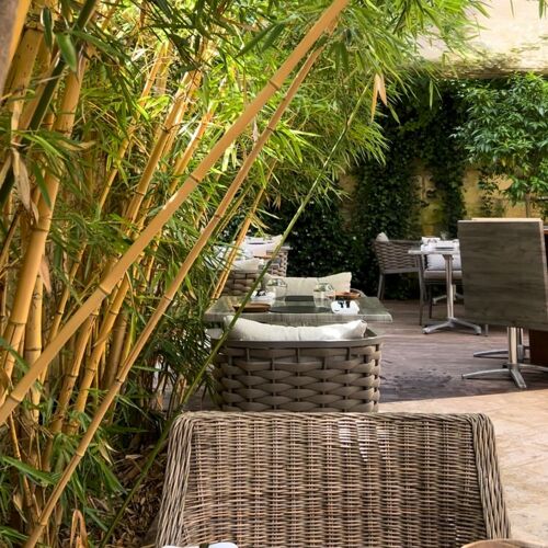 Felicità Trattoria Vayres by michelin.com