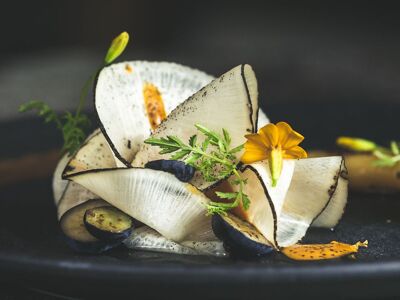 Kräuterreich by Vitus Winkler