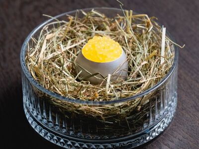 Birdy's by Achtien - The Nest