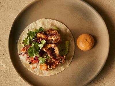 TENOCH by Paradero Todos Santos