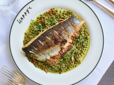 Harry's at The Gallivant