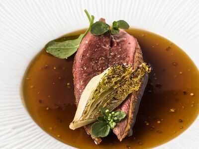 VeRo - Venetian Roots