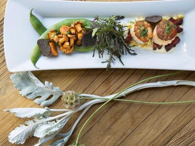 Lucia Restaurant & Bar