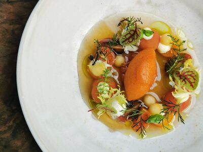 5 SEN:SES by Mario Aliberti