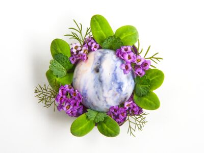 SOLSTICE BY KENNY ATKINSON