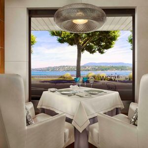Roth Michel Wilson Président Roth Michel et Suisses Tables Grandes - Khezzar Danny 洋書