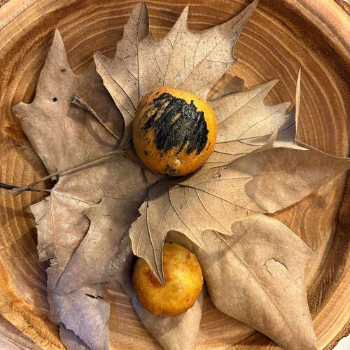 Cibus Raro Cibus – Úbeda - 의 미쉐린 가이드 레스토랑