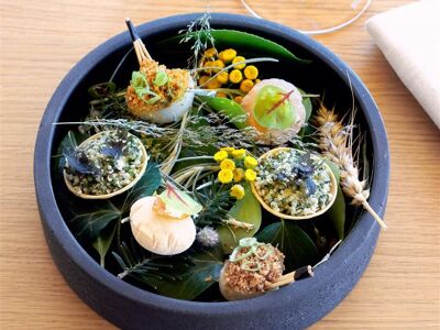 Le Favori - Les Sources de Cheverny