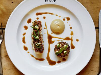 The Wild Rabbit