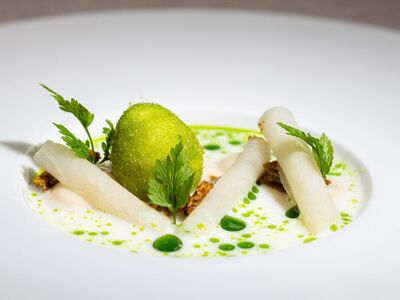 Kliemstein Vino Vitis