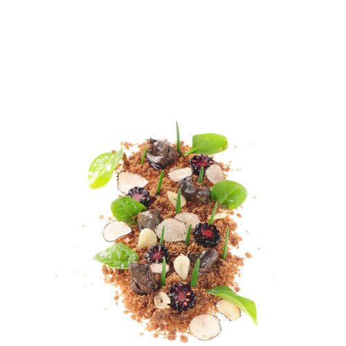 Neumarkt am Wallersee Restaurantes MICHELIN – la Guía MICHELIN Austria