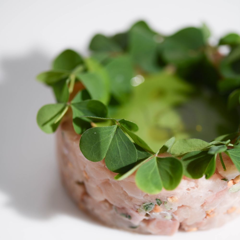 Materia 2.0 by michelin.com