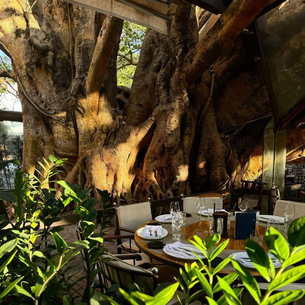 A Figueira Rubaiyat by michelin.com