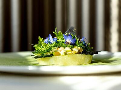 Pierre - Trattoria Sartoriale