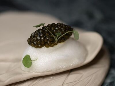 Sylvestre Wahid - Les Grandes Alpes