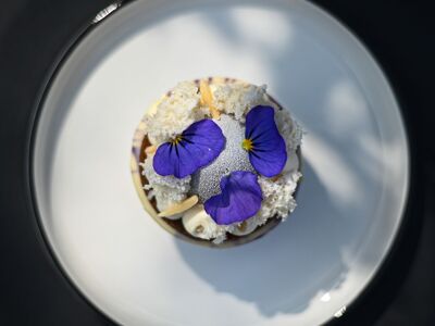 Warsztat - Food & Garden