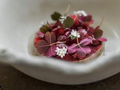 Hertog Jan at Botanic