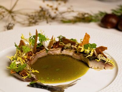 Landhaus Gräfenthal