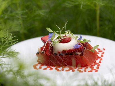 Les Jardins Sauvages - La Grée des Landes