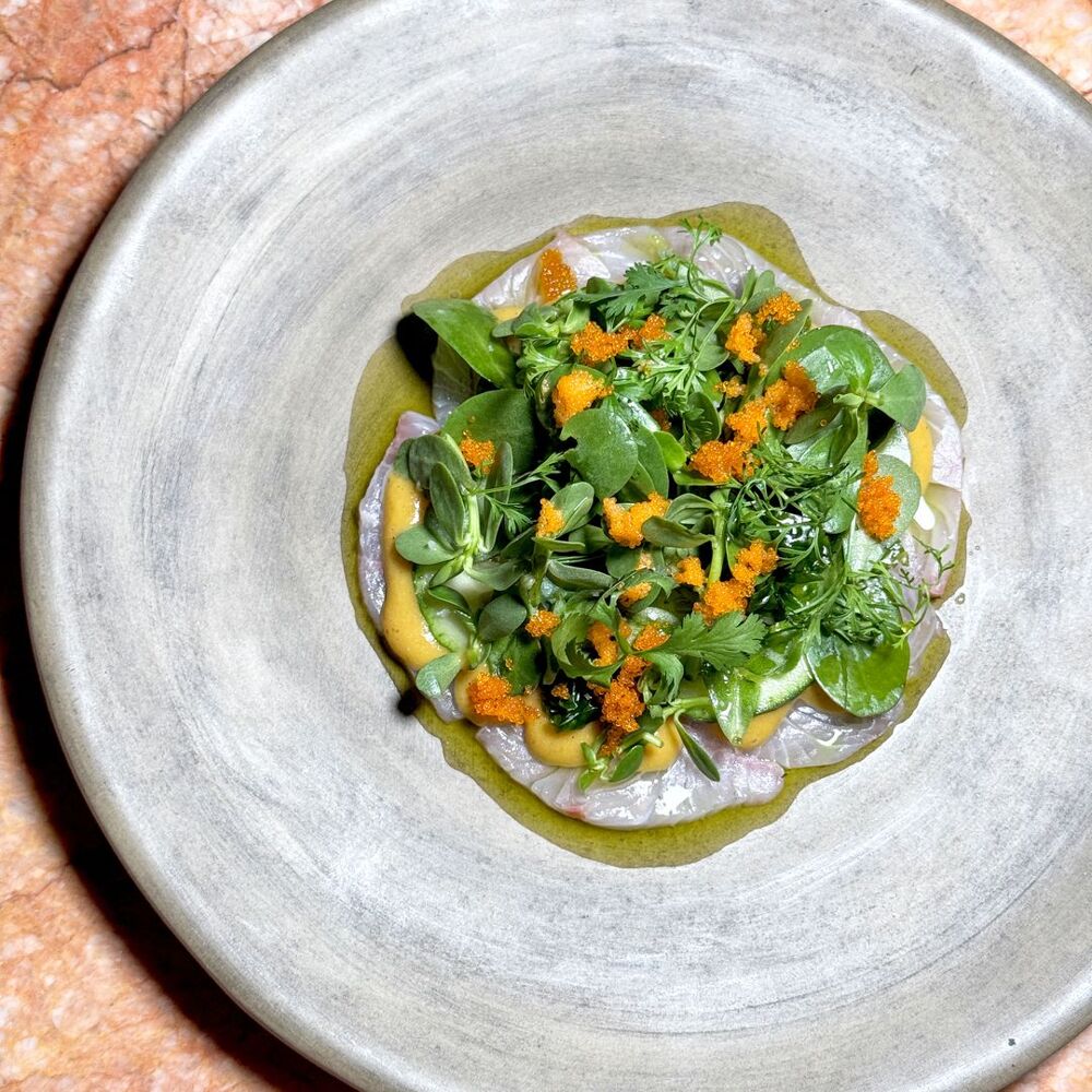 PLONK by michelin.com