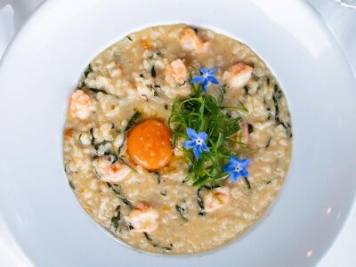 Fishing with Dynamite