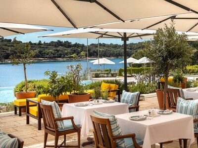 Wine Vault Restaurant - Levante Edition