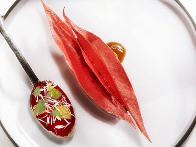 Le Clair de la Plume