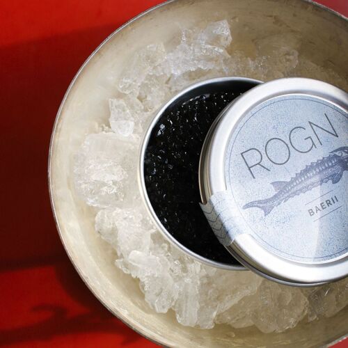 Kanal-Caféen by michelin.com