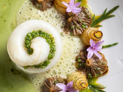 L'Observatoire du Gabriel