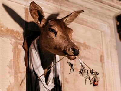 Le Bistrot du Paradou