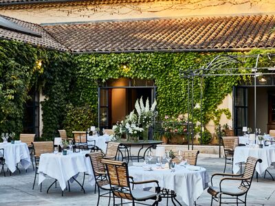 Le Cèdre de Montcaud