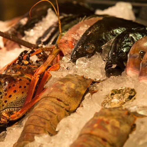 Giuseppe Grill Leblon: Adega, Vinhos, Carnes Nobres, Eventos, Delivery, RJ by michelin.com