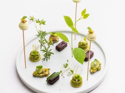 Stucki - Tanja Grandits