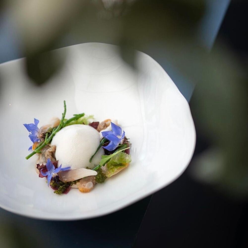 Louise David by michelin.com