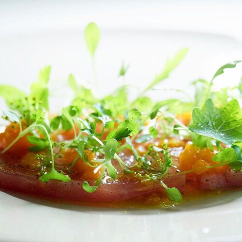 cucina regionale YANAGAWA クチーナ レジョナーレ ヤナガワ by michelin.com