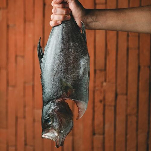 Olivea Farm to Table by michelin.com