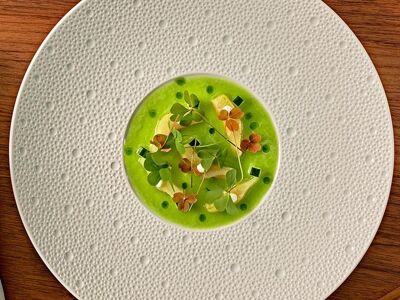 Radius by Stefan Beer