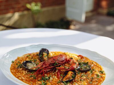 Pollini at Ladbroke Hall