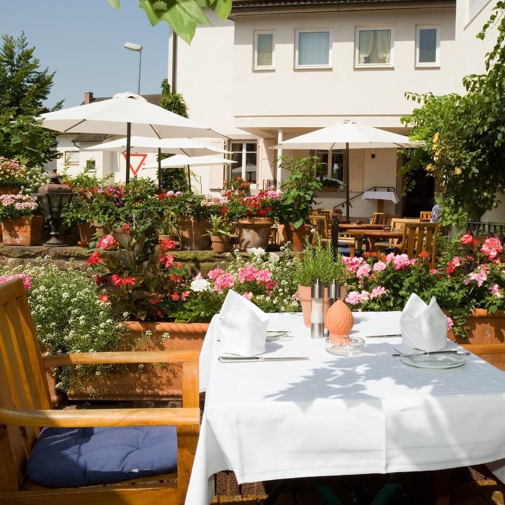 Hirsch by michelin.com