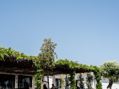 Herdade do Esporão