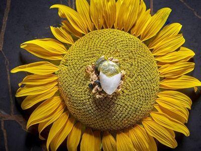 Casas Colgadas Restaurante