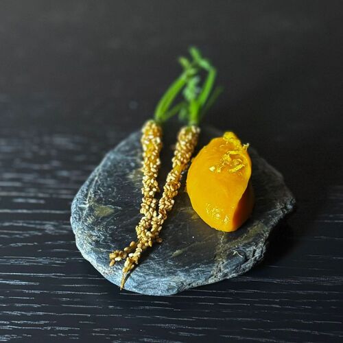 SCAPAR by michelin.com