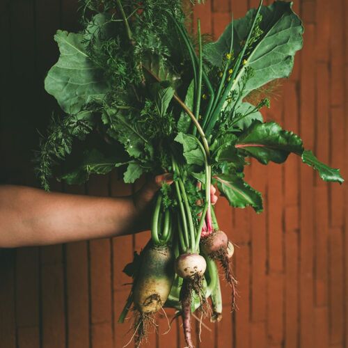 Olivea Farm to Table by michelin.com