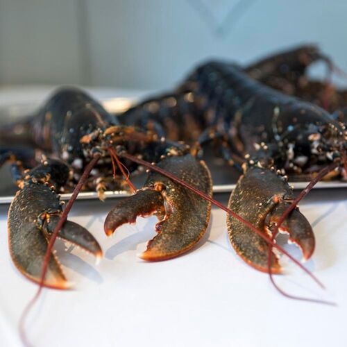 Entre Terre & Mer by michelin.com