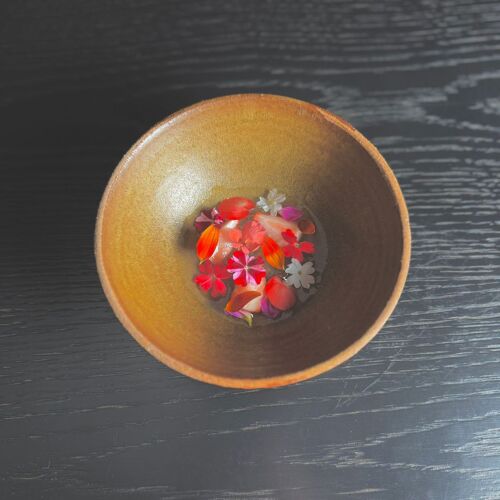 SCAPAR by michelin.com