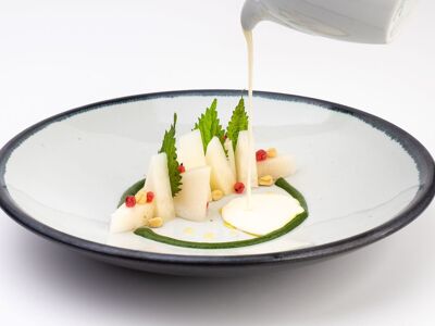 Rehbergers im Schloss Hohenstein